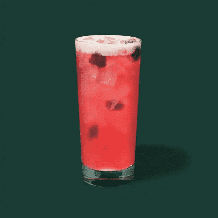 Berry Hibiscus Refresha
